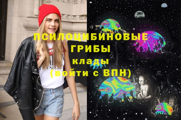 гидропоника Новодвинск