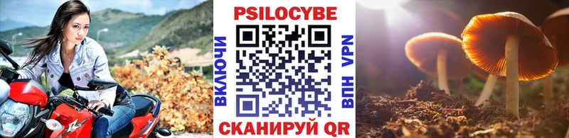 darknet телеграм  Кемь  Галлюциногенные грибы Cubensis 